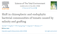 陜西省生物農(nóng)業(yè)所科研人員揭示鹽分及嫁接對番茄微生物群落的影響