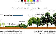 水保所劉國彬團(tuán)隊(duì)在植被演替中有機(jī)質(zhì)穩(wěn)定性研究方面取得新進(jìn)展