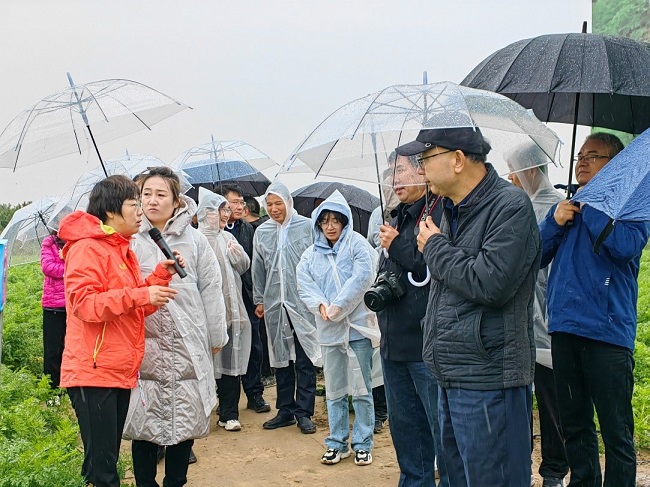 “十四五”國家重點(diǎn)研發(fā)計(jì)劃項(xiàng)目《作物重大線蟲病災(zāi)變機(jī)制與可持續(xù)防控技術(shù)研究》的關(guān)鍵防控技術(shù)現(xiàn)場觀摩會舉行