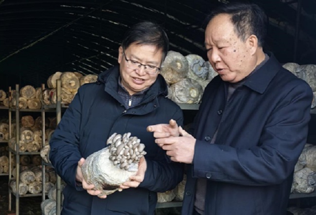陜西省微生物研究所科研人員赴漢中開展食用菌產(chǎn)業(yè)合作調(diào)研